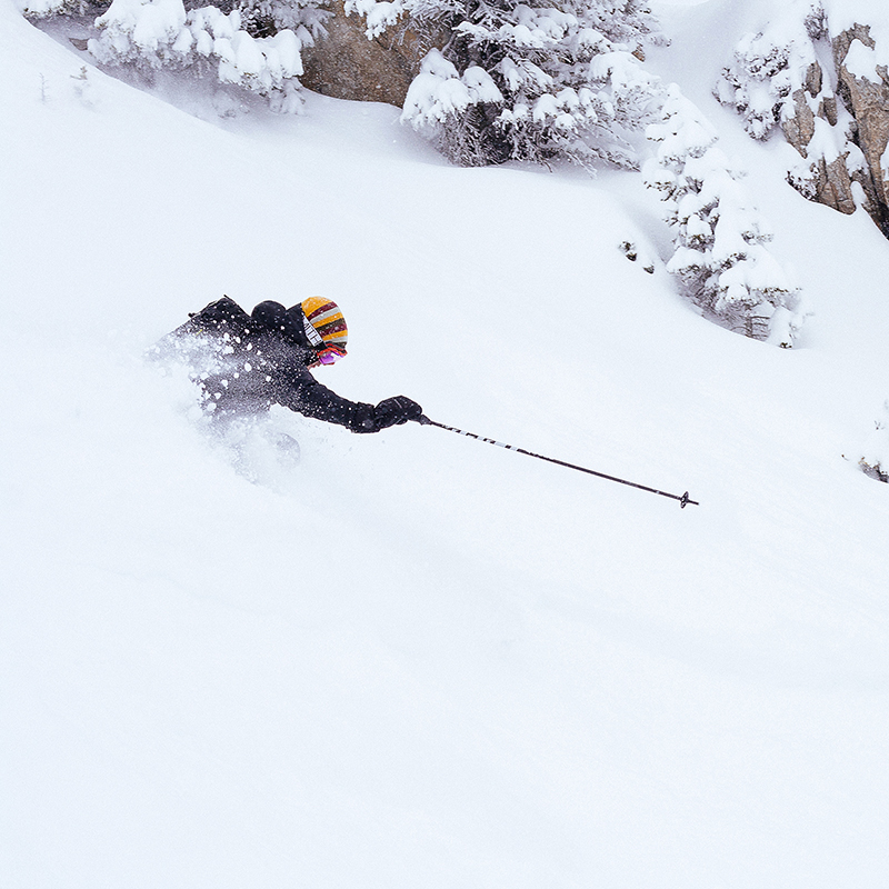 Bridger Bowl ©AidanWeltner 2014-2016