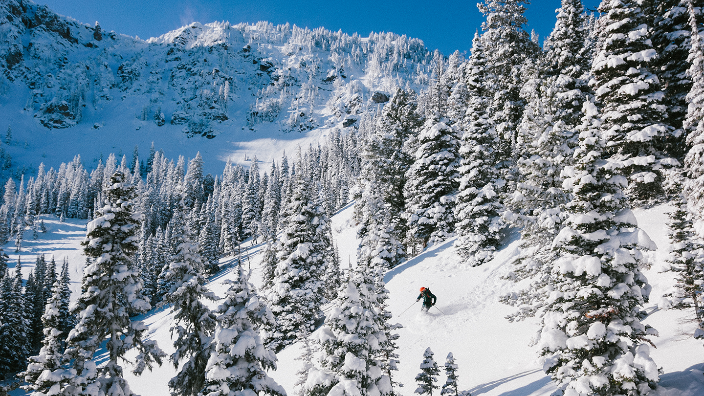 Bridger Bowl, MT ©Aidan Weltner 2014-2016